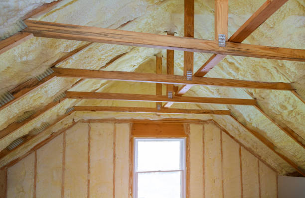 Best Geographic-Specific Insulation Services in Gun Barrel City, TX