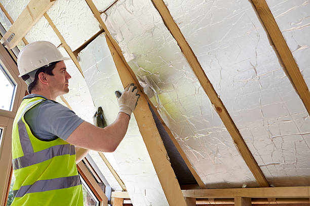 Best Cellulose Insulation in Gun Barrel City, TX
