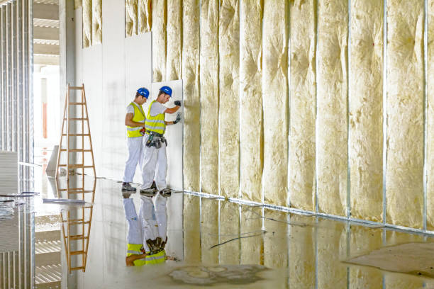 Types of Insulation We Offer in Gun Barrel City, TX